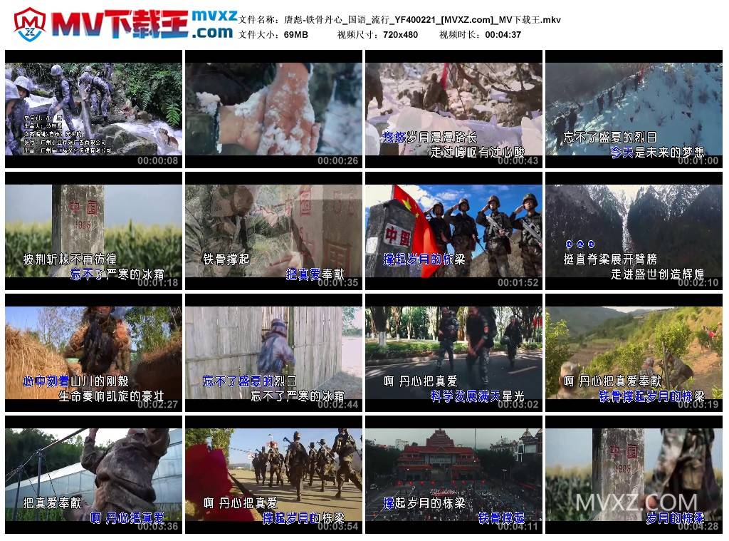 唐彪-铁骨丹心_国语_流行_YF400221